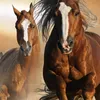 user9isq5exltq