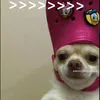 aceitedecoco777