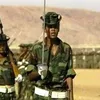 ዋርሳይ 5🇪🇷🇪🇷🇪🇷seyti warsay