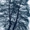 backupacc123_7