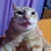 megustanlosmichis69