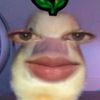 giankester