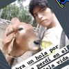 milthonvallejos8