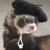 captlumin