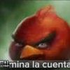 .7dario2