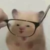 yvizlx7_