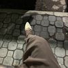 0813ituapa