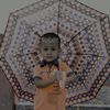 md.amir.matavvor
