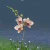 user01ika8y8hb