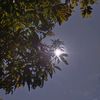 ociiimaniskayamadu