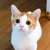 user847k8xtm00