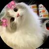 hagar.ebrahim7