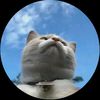 dreamwy.12