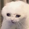 lewlew24_4