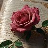 abusuffyan02