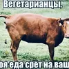 user1545095391294