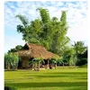 thuynguen1974