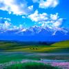 shine scenery