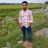 mehedi736736