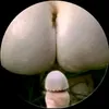 alfredo24564