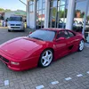 teodortotev499