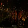 thanhhuyen1239