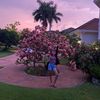 alisab_09