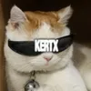 .kertx
