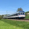der_tri_fan