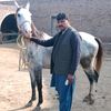 muhammadjaved6083