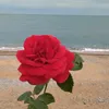 natalia._.186