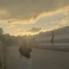 shit.emy