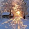 maplecreekfarm