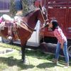 lauracortespere13