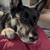 soderstrom_b