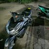 setiawan_namika