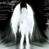 lilbiel33fclilgiela