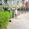 amrit.nachhiring.r