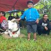 andi.putra65