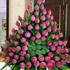usernfan75qjce