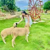 Tiểu Phụng nè