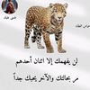 user6308521141611