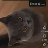 user0a34d0bzpb