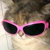 catbvm