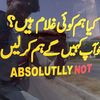 sulmankhan786804