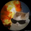 eeeiiiiyycat