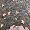 nf_four4