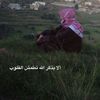 z_ksa70