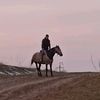didargoi_077