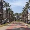 darsslhayate